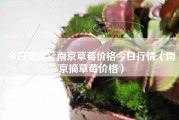 今日更新：南京草莓价格今日行情（南京摘草莓价格）