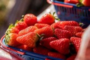 吃草莓能缓解便秘吗