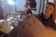 澳大利亚男子展示如何用双手操纵巨型猎人蜘蛛