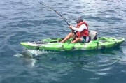 美国男子坐艇出海钓鲨鱼 被公牛鲨弄得人仰船翻