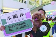 北京免费领养狗狗（北京免费领养狗狗贴吧）