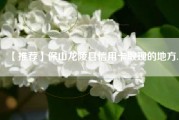 【推荐】保山龙陵县信用卡取现的地方.