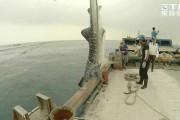 台湾新竹香山外海1吨重豆腐鲨误闯定置渔场被渔网勾住 渔场老板放生