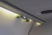 墨西哥国际航空班机惊见1.5公尺长绿色大蛇