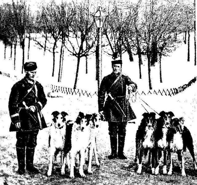 俄罗斯狼犬 俄罗斯狼犬（俄罗斯狼犬守护神） 动物