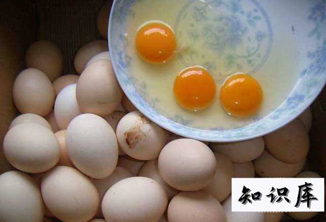 土鸡蛋真的比养殖场产的鸡蛋好吗 土鸡蛋好还是养殖鸡蛋好 科普