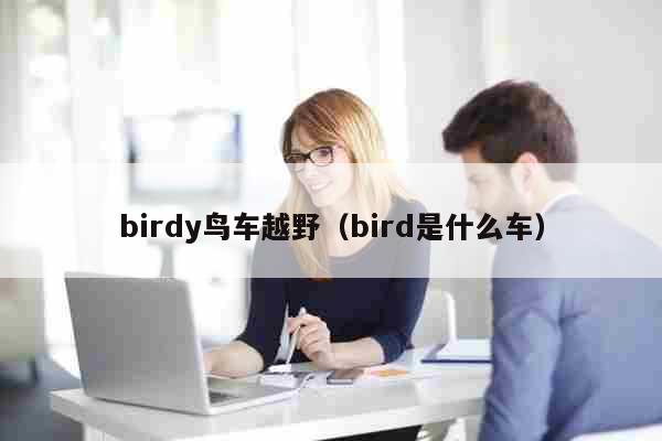 birdy鸟车越野（bird是什么车） 文化