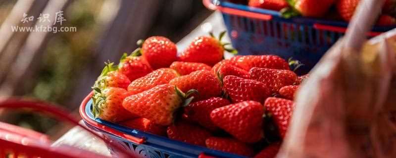 吃草莓能缓解便秘吗 美食